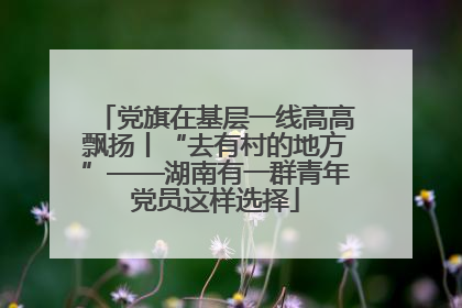 党旗在基层一线高高飘扬丨“去有村的地方”——湖南有一群青年党员这样选择