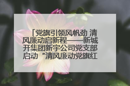 党旗引领风帆劲 清风廉动启新程——新城开集团新宇公司党支部启动“清风廉动党旗红”系列活动