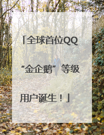 全球首位QQ“金企鹅”等级用户诞生！