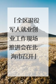 全区退役军人就业创业工作现场推进会在北海市召开