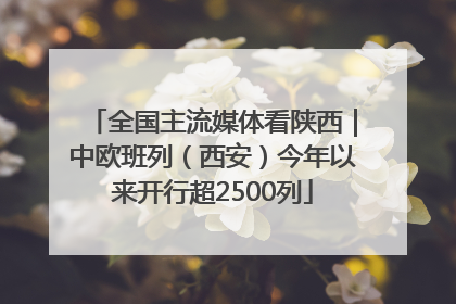 全国主流媒体看陕西｜中欧班列（西安）今年以来开行超2500列