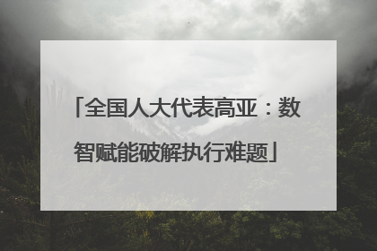 全国人大代表高亚：数智赋能破解执行难题