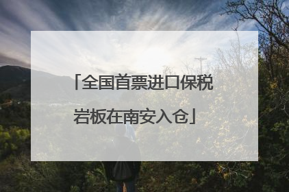 全国首票进口保税岩板在南安入仓