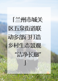 兰州市城关区五泉街道联动多部门打造乡村生态景观“洁净长廊”