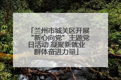 兰州市城关区开展“新心向党”主题党日活动 凝聚新就业群体奋进力量