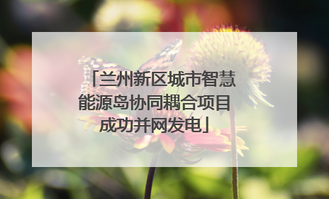 兰州新区城市智慧能源岛协同耦合项目成功并网发电