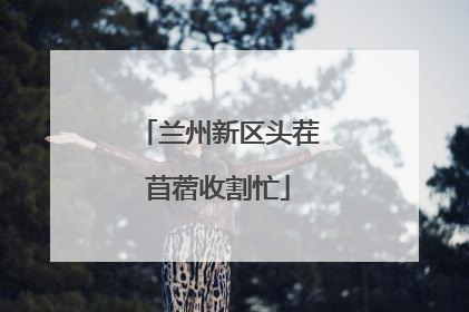 兰州新区头茬苜蓿收割忙