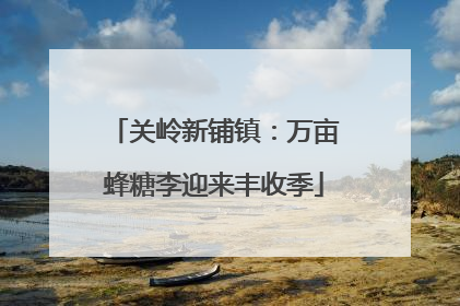 关岭新铺镇：万亩蜂糖李迎来丰收季