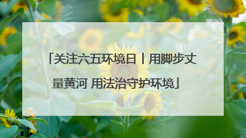 关注六五环境日丨用脚步丈量黄河 用法治守护环境