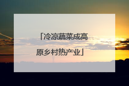 冷凉蔬菜成高原乡村热产业