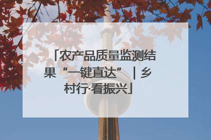 农产品质量监测结果“一键直达”｜乡村行·看振兴