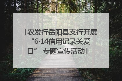 农发行岳阳县支行开展“6·14信用记录关爱日” 专题宣传活动