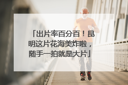 出片率百分百！昆明这片花海美炸啦，随手一拍就是大片