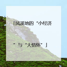 凤溪地的“小经济”与“大情怀”