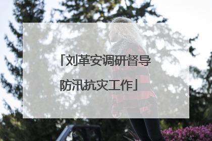 刘革安调研督导防汛抗灾工作