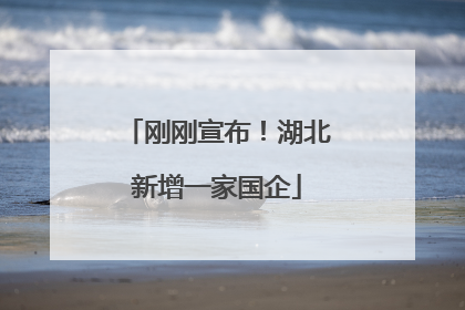 刚刚宣布！湖北新增一家国企