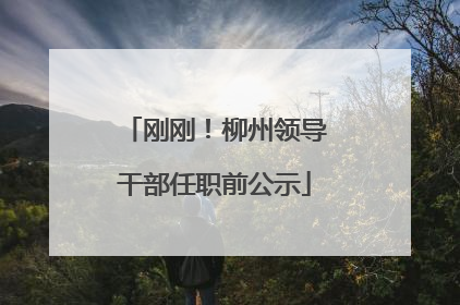 刚刚！柳州领导干部任职前公示
