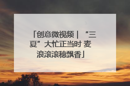 创意微视频｜“三夏”大忙正当时 麦浪滚滚穗飘香