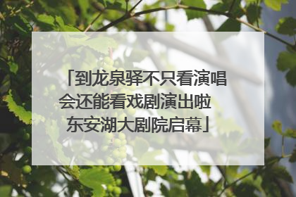 到龙泉驿不只看演唱会还能看戏剧演出啦 东安湖大剧院启幕