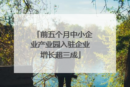 前五个月中小企业产业园入驻企业增长超三成