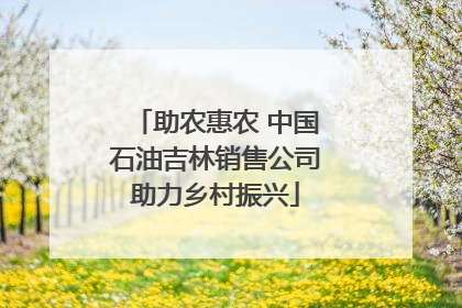 助农惠农 中国石油吉林销售公司助力乡村振兴