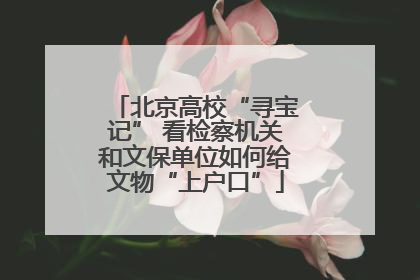 北京高校“寻宝记” 看检察机关和文保单位如何给文物“上户口”