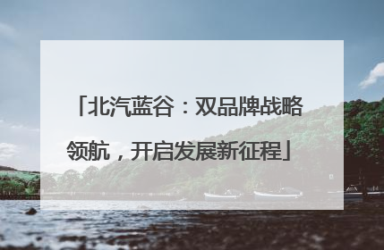 北汽蓝谷：双品牌战略领航，开启发展新征程