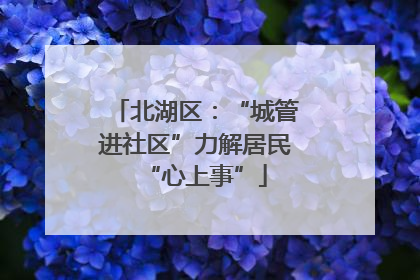 北湖区：“城管进社区”力解居民“心上事”