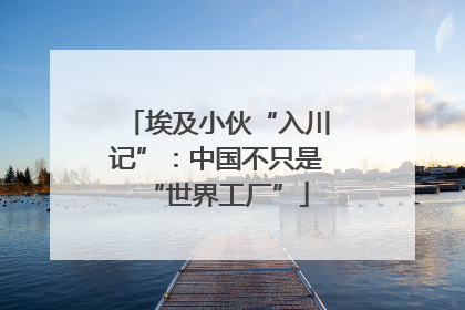 埃及小伙“入川记”：中国不只是“世界工厂”