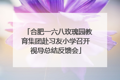 合肥一六八玫瑰园教育集团赴习友小学召开视导总结反馈会