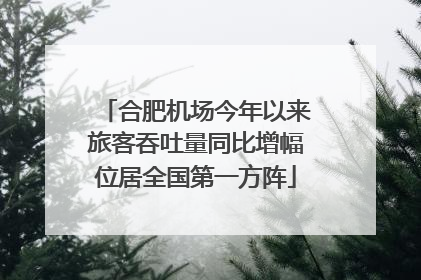 合肥机场今年以来旅客吞吐量同比增幅位居全国第一方阵