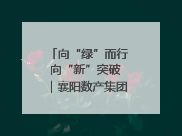 向“绿”而行 向“新”突破｜襄阳数产集团赋能低碳未来