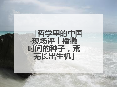 哲学里的中国·现场评丨播撒时间的种子，荒芜长出生机