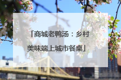 商城老鸭汤：乡村美味端上城市餐桌