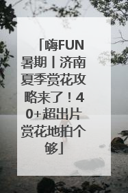 嗨FUN暑期丨济南夏季赏花攻略来了！40+超出片赏花地拍个够