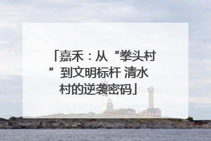 嘉禾：从“拳头村”到文明标杆 清水村的逆袭密码