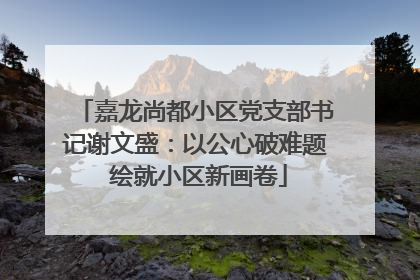 嘉龙尚都小区党支部书记谢文盛：以公心破难题 绘就小区新画卷