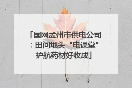 国网孟州市供电公司：田间地头“电课堂”  护航药材好收成