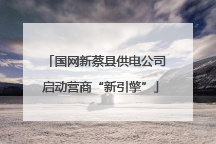 国网新蔡县供电公司启动营商“新引擎”