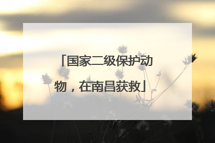 国家二级保护动物，在南昌获救