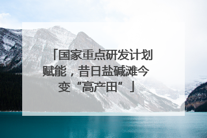 国家重点研发计划赋能，昔日盐碱滩今变“高产田”