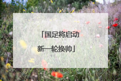 国足将启动新一轮换帅