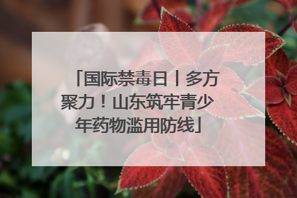 国际禁毒日丨多方聚力！山东筑牢青少年药物滥用防线