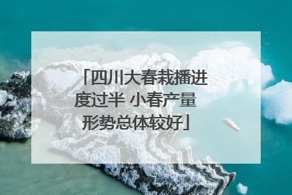 四川大春栽播进度过半 小春产量形势总体较好