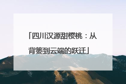 四川汉源甜樱桃：从背篓到云端的跃迁