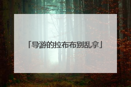 导游的拉布布别乱拿