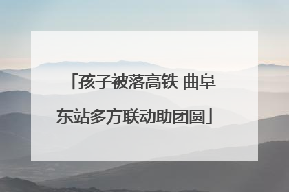 孩子被落高铁 曲阜东站多方联动助团圆