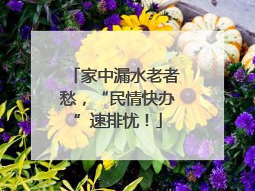 家中漏水老者愁，“民情快办”速排忧！
