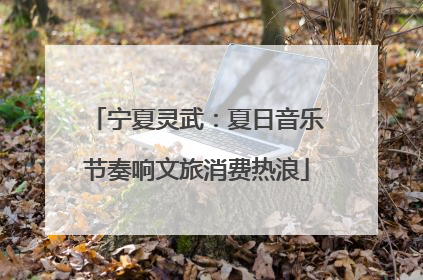 宁夏灵武：夏日音乐节奏响文旅消费热浪