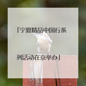 宁夏精品中国行系列活动在京举办